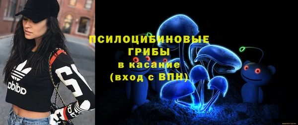 прущие крисы Медногорск