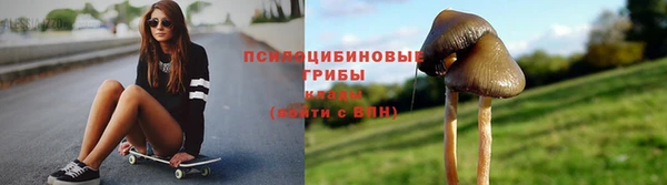 прущие крисы Медногорск