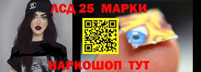 гашик Будённовск