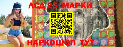 гашик Будённовск