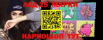 гашик Будённовск