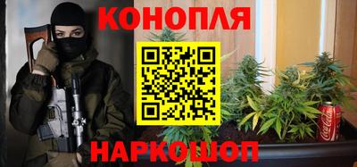 гашик Будённовск
