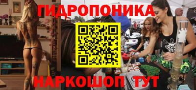 гашик Будённовск
