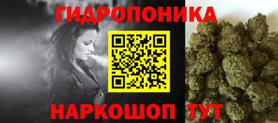 гашик Будённовск