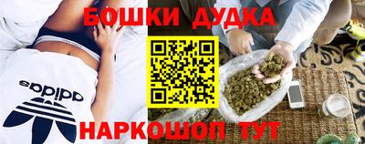 гашик Будённовск