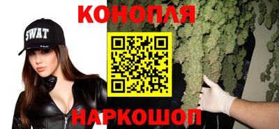 гашик Будённовск