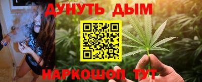 гашик Будённовск