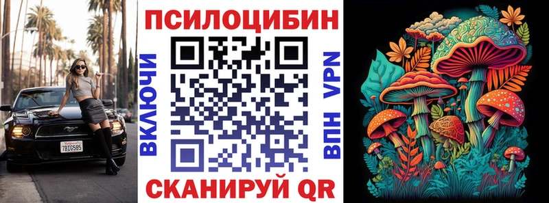 наркошоп  Кинель  Псилоцибиновые грибы MAGIC MUSHROOMS 