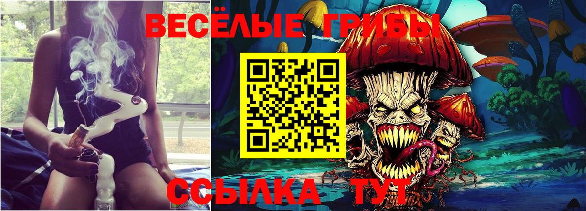 закладка  Вход с VPN  Кинель  Псилоцибиновые грибы мицелий 